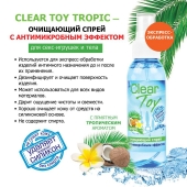 Очищающий спрей для игрушек CLEAR TOY Tropic - 100 мл. - Биоритм - купить с доставкой в Кемерово