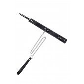 Кожаный двухслойный ошейник с белой строчкой и поводком - Pecado - купить с доставкой в Кемерово