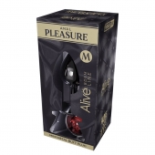 Серебристая анальная втулка Mini Metal Butt Plug Size M с красным кристаллом - Adrien Lastic в Кемерово Серебристая анальная втулка Mini Metal Butt Plug Size M с красным кристаллом - Adrien Lastic