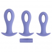 Набор из 3 анальных пробок с вибропулей Hole Punch Plug Set - Evolved в Кемерово Набор из 3 анальных пробок с вибропулей Hole Punch Plug Set - Evolved