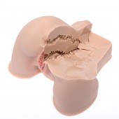 Мастурбатор-полуторс Naked Factory Kate - Naked Factory - в Кемерово купить с доставкой