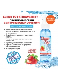 Очищающий спрей для игрушек CLEAR TOY Strawberry - 100 мл. - Биоритм - купить с доставкой в Кемерово