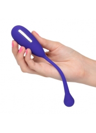 Фиолетовый шарик с электростимуляцией и вибрацией Intimate E-Stimulator Remote Kegel Exerciser - California Exotic Novelties - купить с доставкой в Кемерово