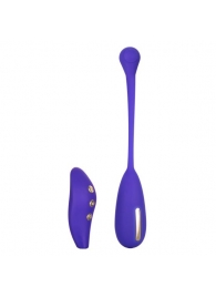 Фиолетовый шарик с электростимуляцией и вибрацией Intimate E-Stimulator Remote Kegel Exerciser - California Exotic Novelties - купить с доставкой в Кемерово