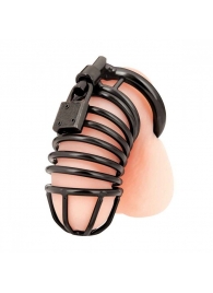 Черная металлическая клетка с замком Deluxe Chastity Cage - BlueLine - купить с доставкой в Кемерово