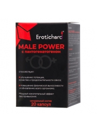 Капсулы для мужчин Erotichard male power с пантогематогеном - 20 капсул (0,370 гр.) - Erotic Hard - купить с доставкой в Кемерово