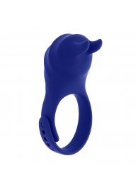 Синее эрекционное виброкольцо с клиторальной подушечкой и пультом ДУ Adjustable Fun Ring - Zero Tolerance - в Кемерово купить с доставкой