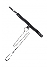 Черный узкий однослойный ошейник с серебристым поводком-цепочкой - Pecado - купить с доставкой в Кемерово