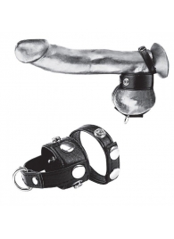 Утяжка для мошонки и пениса Cock Ring With 1  Ball Stretcher And Optional Weight Ring - BlueLine - купить с доставкой в Кемерово