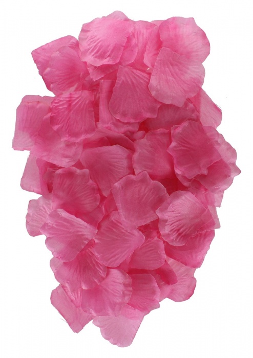 Эротический набор FANTASTIC PURPLE SEX TOY KIT - Toy Joy - купить с доставкой в Кемерово