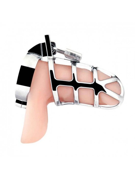 Серебристая металлическая клетка для члена с замком Enslave Cock Cage - BlueLine - купить с доставкой в Кемерово