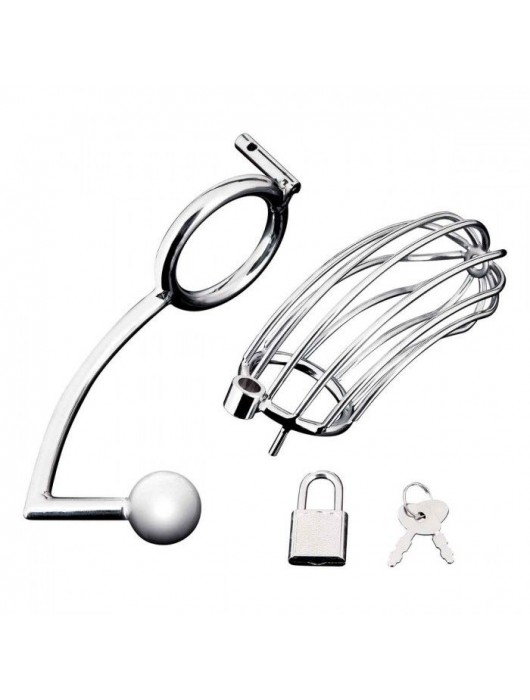 Серебристая металлическая клетка с анальным стимулятором Cock Cage - BlueLine - купить с доставкой в Кемерово