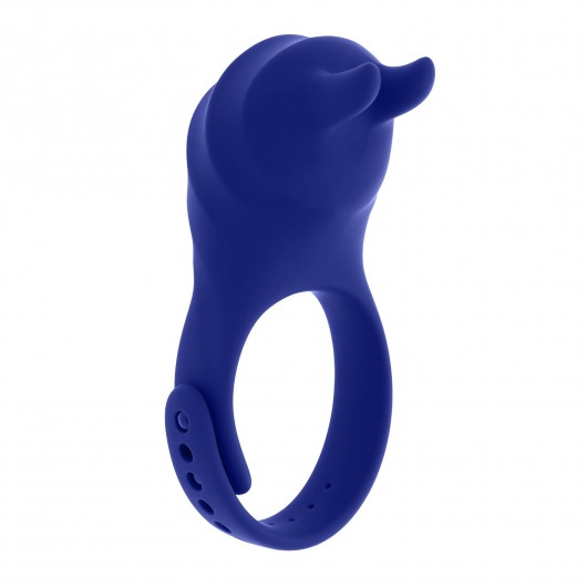 Синее эрекционное виброкольцо с клиторальной подушечкой и пультом ДУ Adjustable Fun Ring - Zero Tolerance - в Кемерово купить с доставкой