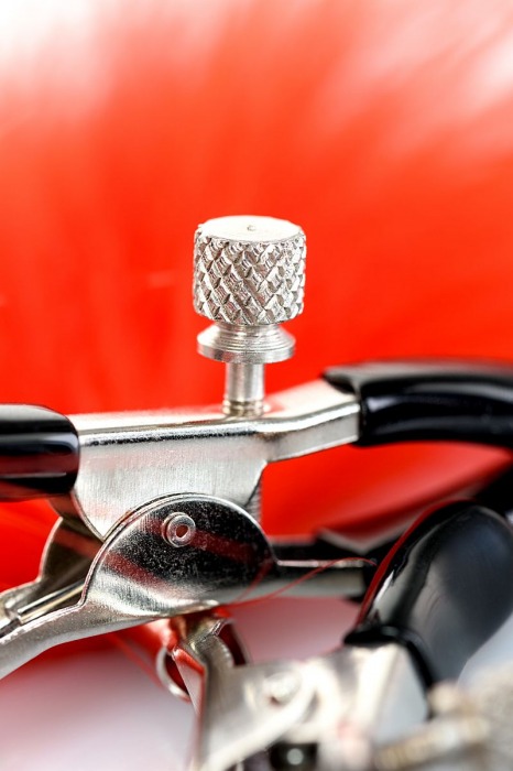 Зажимы для сосков с красным пухом Theatre - ToyFa - купить с доставкой в Кемерово